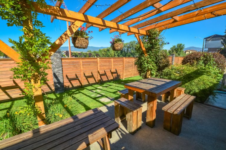 5 Ideas for Your New Backyard Design